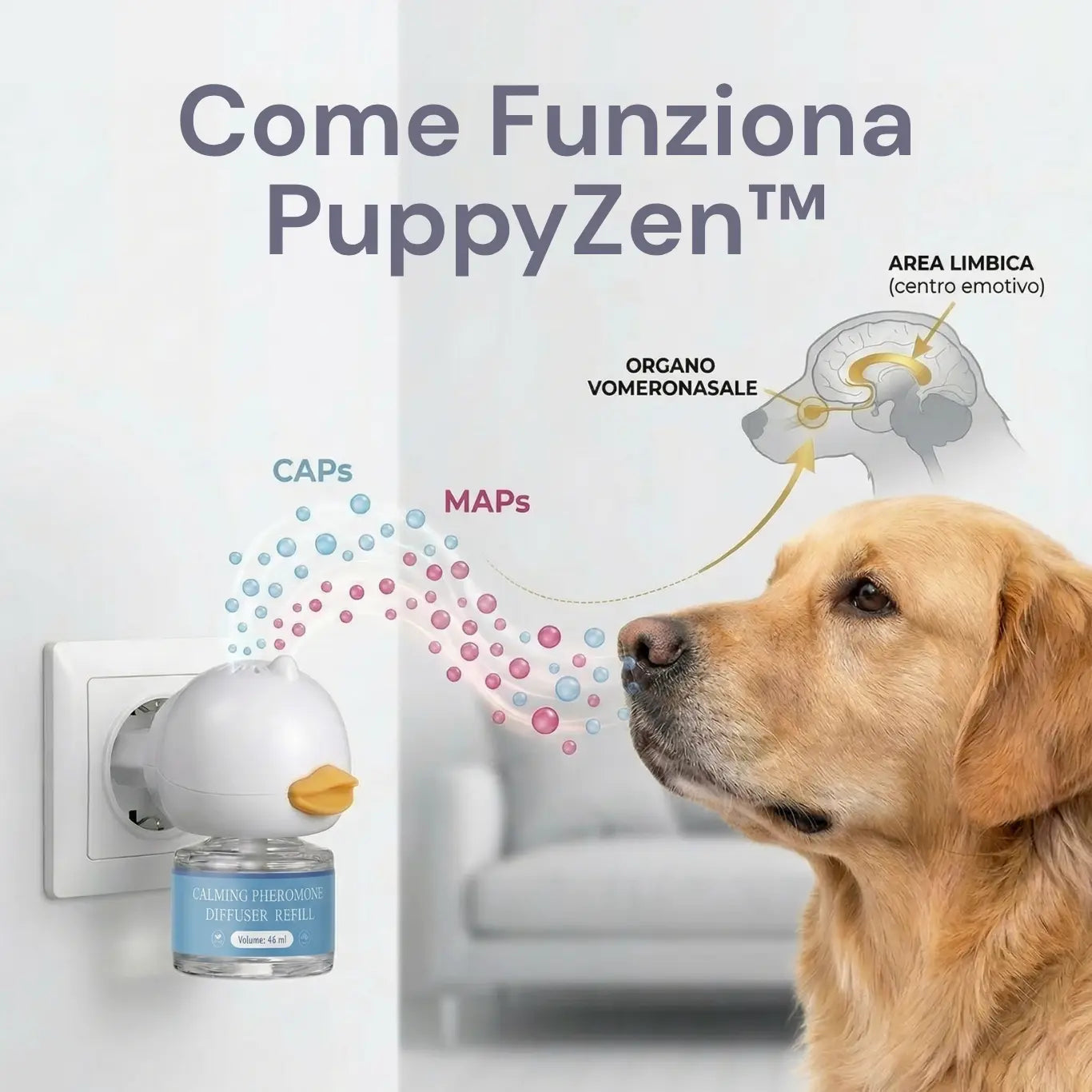 Kit PuppyZen™ — Feromoni Calmanti per Cani Il mio negozio